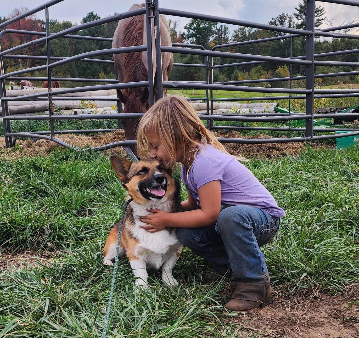 Cactus Creek Kennels Pups